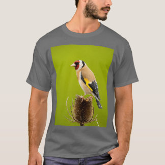 Camiseta Goldfinch on teasel