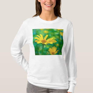 Camiseta Goldie