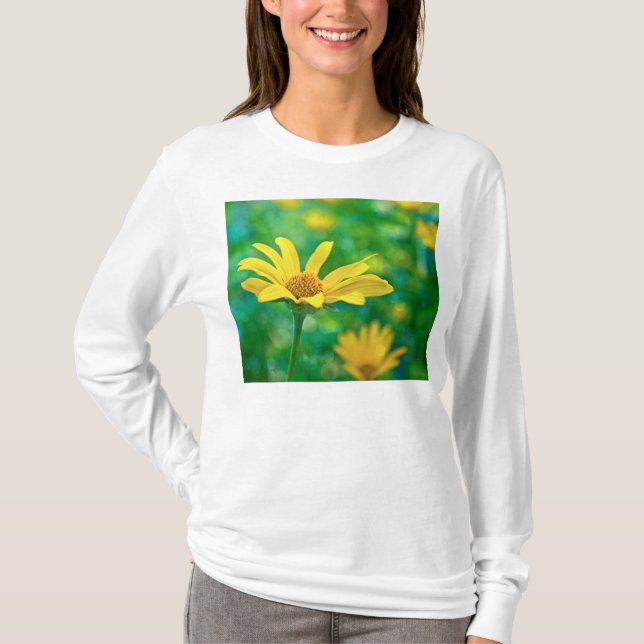 Camiseta Goldie (Anverso)