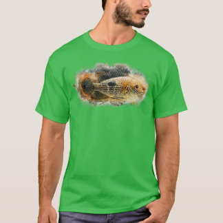 Camiseta Goldsaum cichlid Aequdens rivulatus