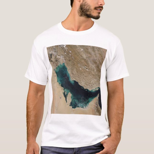 Camiseta Golfo Pérsico (Anverso)