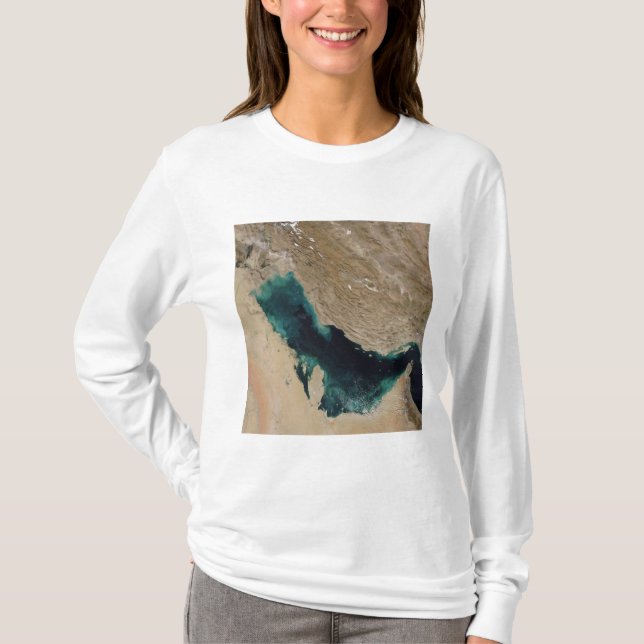 Camiseta Golfo Pérsico (Anverso)