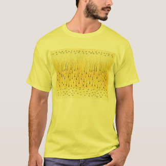 Camiseta Golgi remezcla