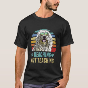 Camiseta Golpear con no enseñar la cumbre del profesor de P