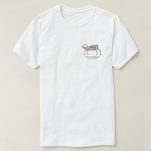Camiseta Goma de montaña Petroglyph