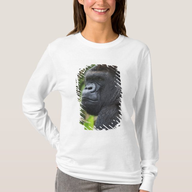 Camiseta Gorila de espalda plateada de tierras bajas, goril (Anverso)