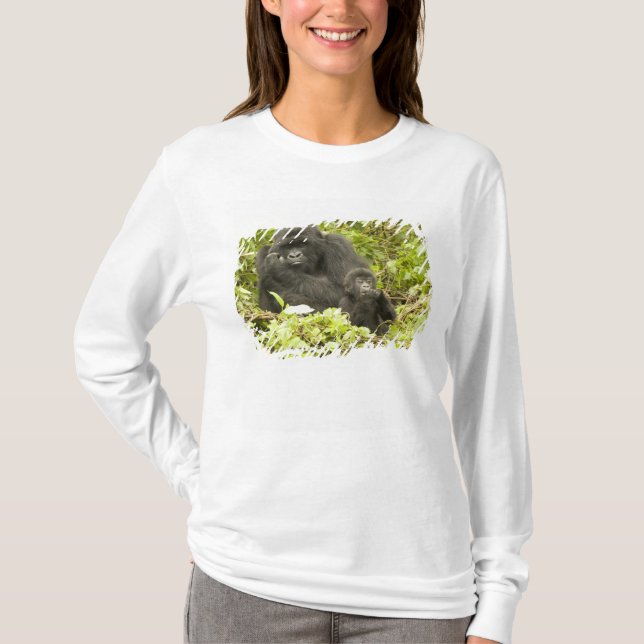 Camiseta Gorila de la montaña, Gorilla beringei (anteriorme (Anverso)