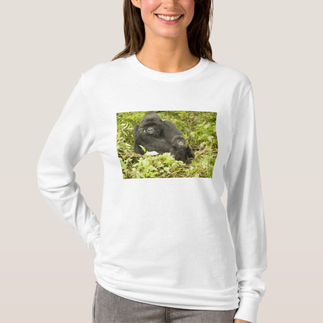 Camiseta Gorila de la montaña, Gorilla beringei (anteriorme (Anverso)