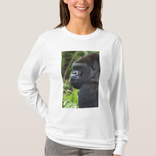Camiseta Gorila de llanura con espalda plateada, gorila cau