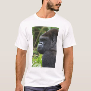 Camiseta Gorila de llanura de espalda plateada, gorila caut