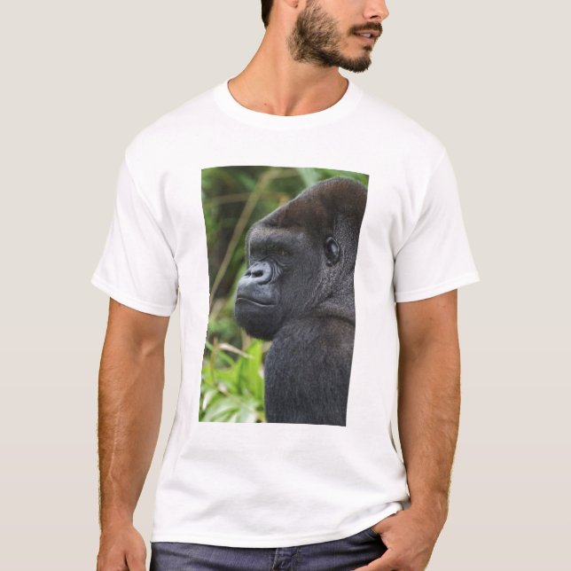 Camiseta Gorila de llanura de espalda plateada, gorila caut (Anverso)