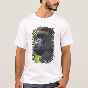 Camiseta Gorila de llanura occidental espalda plateada, Gor