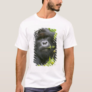 Camiseta Gorila de montaña espalda plateada