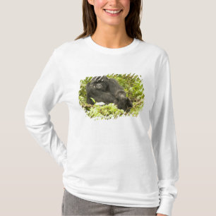 Camiseta Gorila de montaña, Gorilla beringei (anteriormente