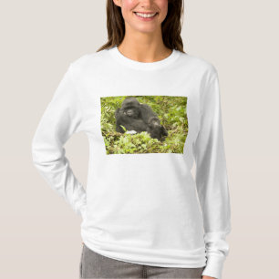 Camiseta Gorila de montaña, Gorilla beringei (anteriormente
