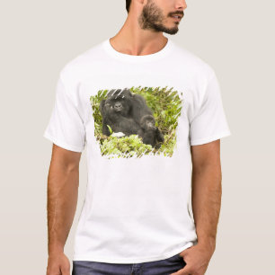 Camiseta Gorila de montaña, Gorilla beringei (anteriormente