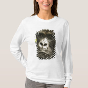 Camiseta Gorila de montaña, Gorilla beringei beringei,