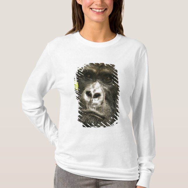Camiseta Gorila de montaña, Gorilla beringei beringei, (Anverso)