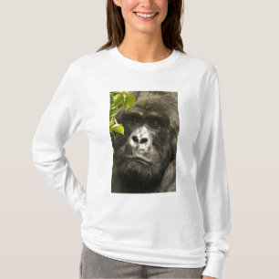 Camiseta Gorila de montaña, Gorilla beringei beringei,