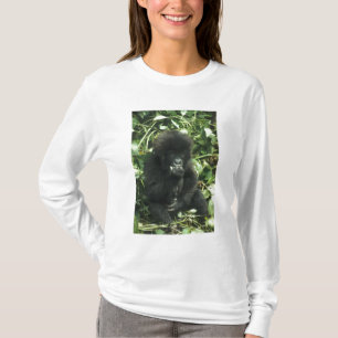 Camiseta Gorila de montaña, (Gorilla gorilla beringei),