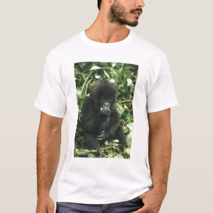 Camiseta Gorila de montaña, (Gorilla gorilla beringei),