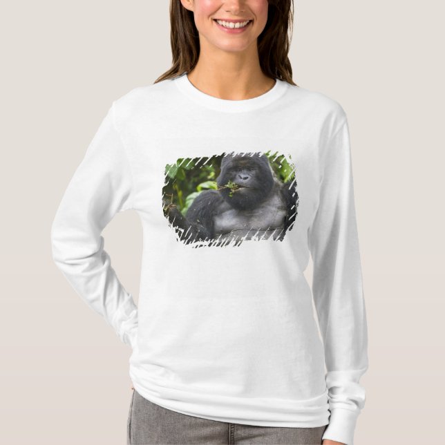 Camiseta Gorila de montaña y dorso plateado (Anverso)