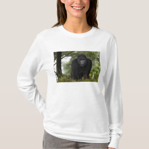 Camiseta Gorila de montaña y dorso plateado