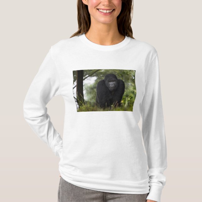 Camiseta Gorila de montaña y dorso plateado (Anverso)