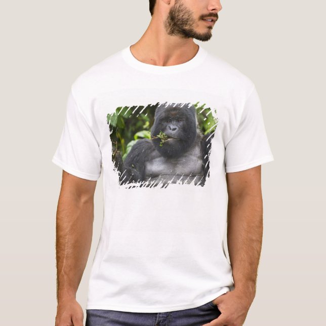 Camiseta Gorila de montaña y silverback (Anverso)