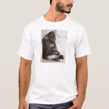 Gorila Plateado Durmiendo