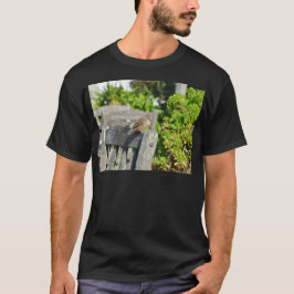 Camiseta Gorrión descarado