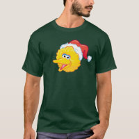 Gorro de Santa Pajarito
