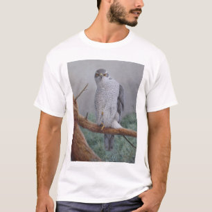 Camiseta Goshawk septentrional (gentilis), Observador