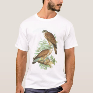 Camiseta Gould - cernícalo - tinnunculus de Falco