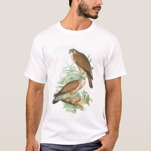 Camiseta Gould - cernícalo - tinnunculus de Falco (Anverso)