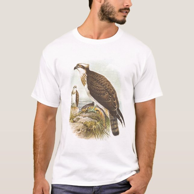 Camiseta Gould - Osprey - haliaetus del Pandion (Anverso)