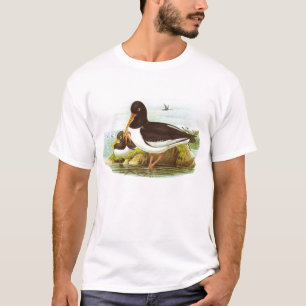 Camiseta Gould - ostrero - ostralegus del Haematopus