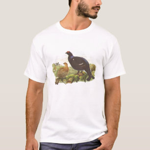Camiseta Gould - urogallo negro - tetrix del Lyrurus