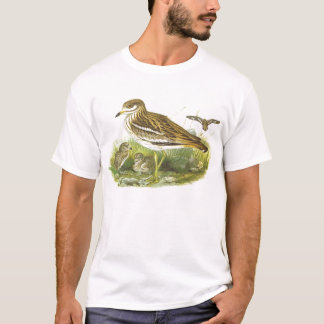 Camiseta Gould - zarapito de piedra - oedicnemus del