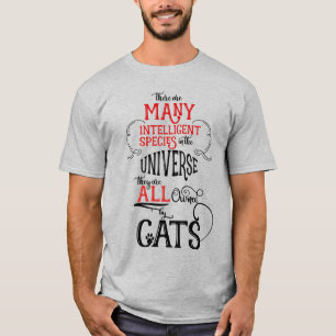 Camiseta Graciosa propiedad de Gatos Gatos Gato Lover LIGHT