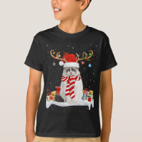 Gracioso gato de Ragdoll Ragdoll con luz de reno d