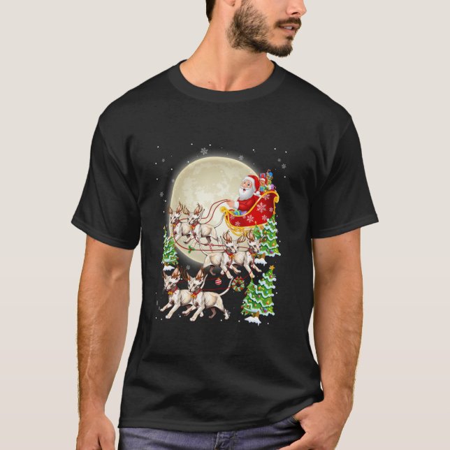 Camiseta Gracioso gato reno Santa Sleigh Merry Chris (Anverso)