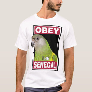 Camiseta Gracioso loro senegalés - Arte de pájaro