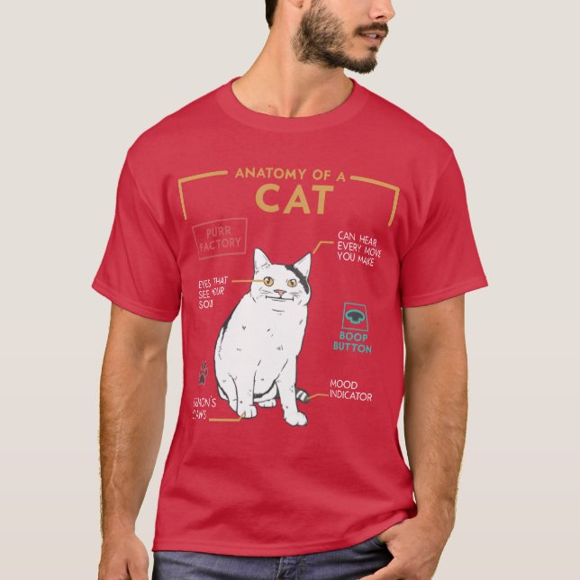 Camiseta Gracioso meme de gato sonriente anatomía de un reg (Anverso)