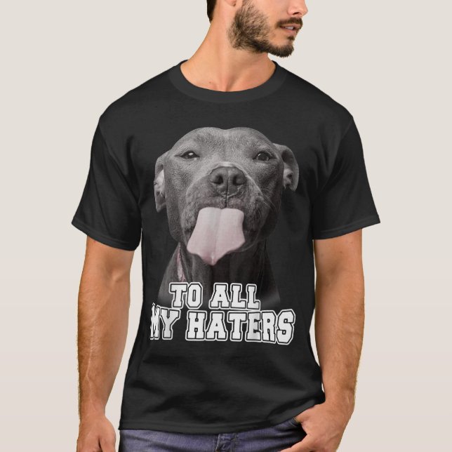 Camiseta Gracioso Pitbull Para Todos Mis Odiadores Pitbull  (Anverso)