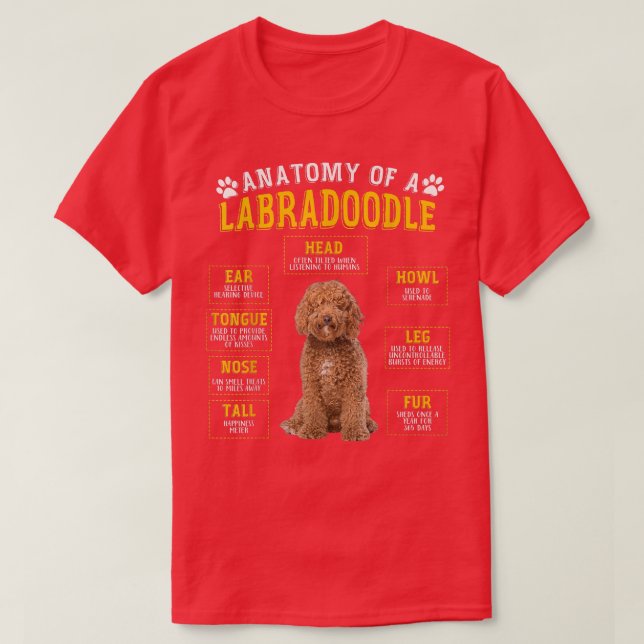 Camiseta Graciosos Regalos De Anatomía De Labradoodle Para  (Diseño del anverso)