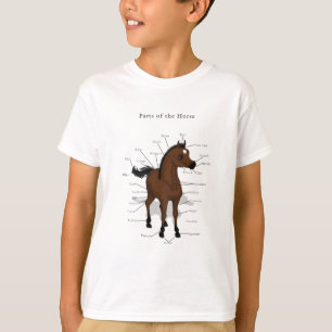 Camiseta Gráfica de anatomía de caballos en un caracol co