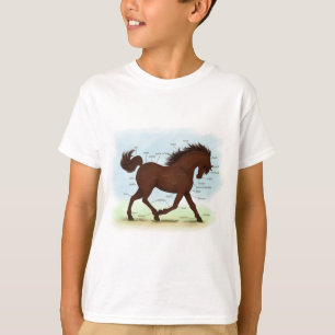 Camiseta Gráfica de anatomía equina educativa de caballo ma
