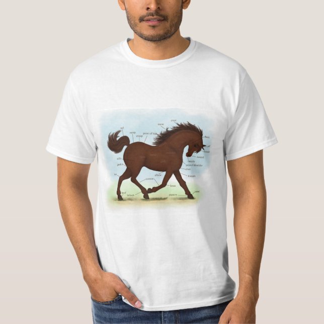 Camiseta Gráfica de anatomía equina educativa de caballo ma (Anverso)