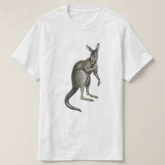 Camiseta gráfica de diseño de boceto de canguro